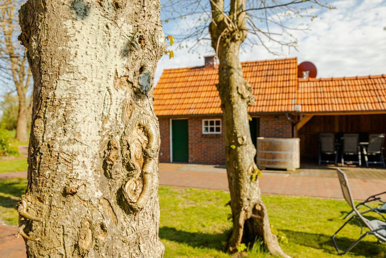 הוילה Südbrookmerland Reetdach Ostfriesenhaus מראה חיצוני תמונה